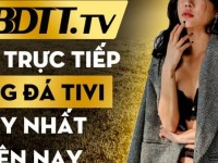 BDTT.tv kênh trực tiếp bóng đá tivi hay nhất hiện nay