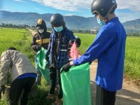 Sơn Viên tổ chức thu gom rác thải nguy hại đồng ruộng