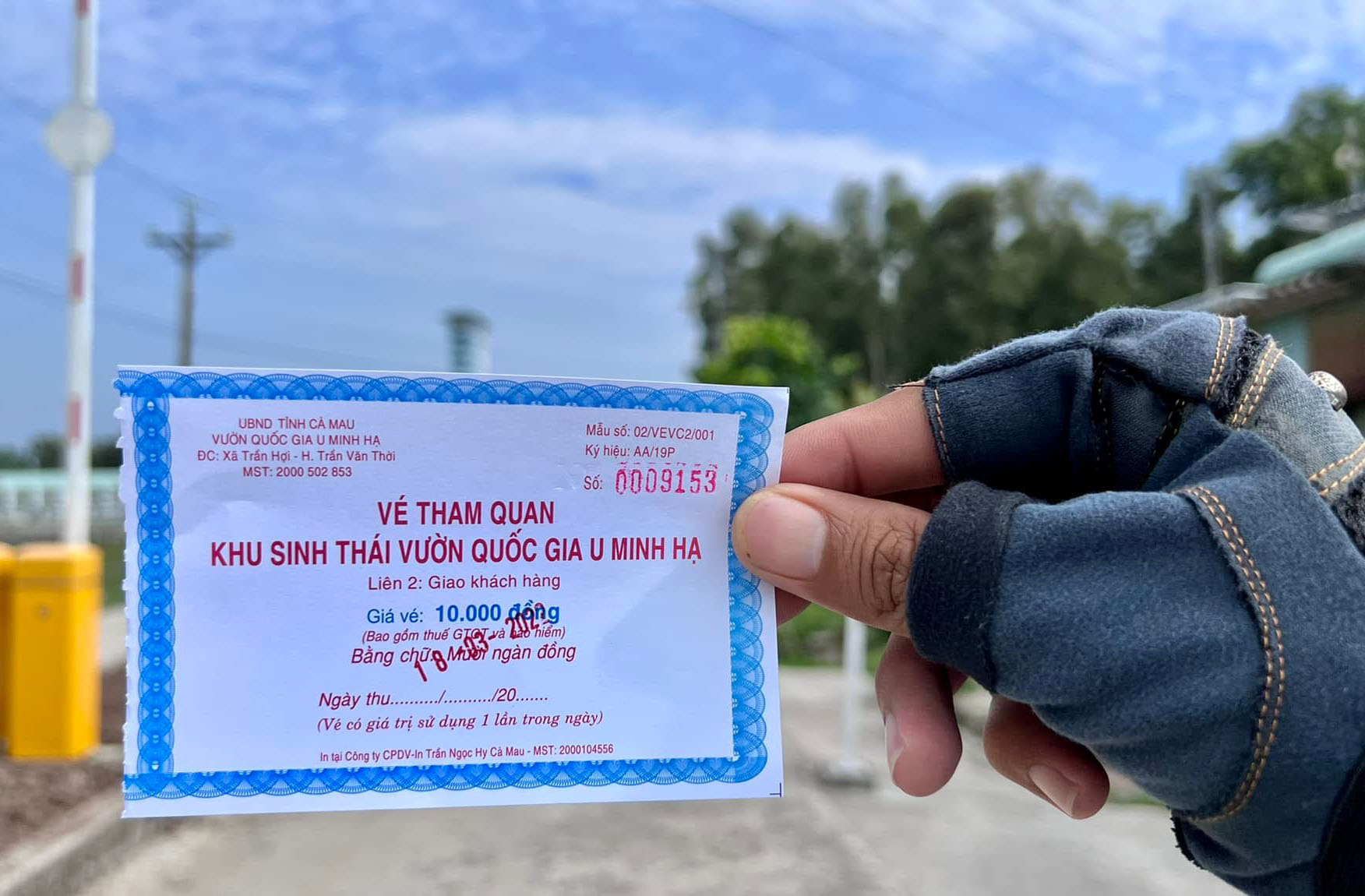 Những hình thức di chuyển đế VQG U Minh Hạ