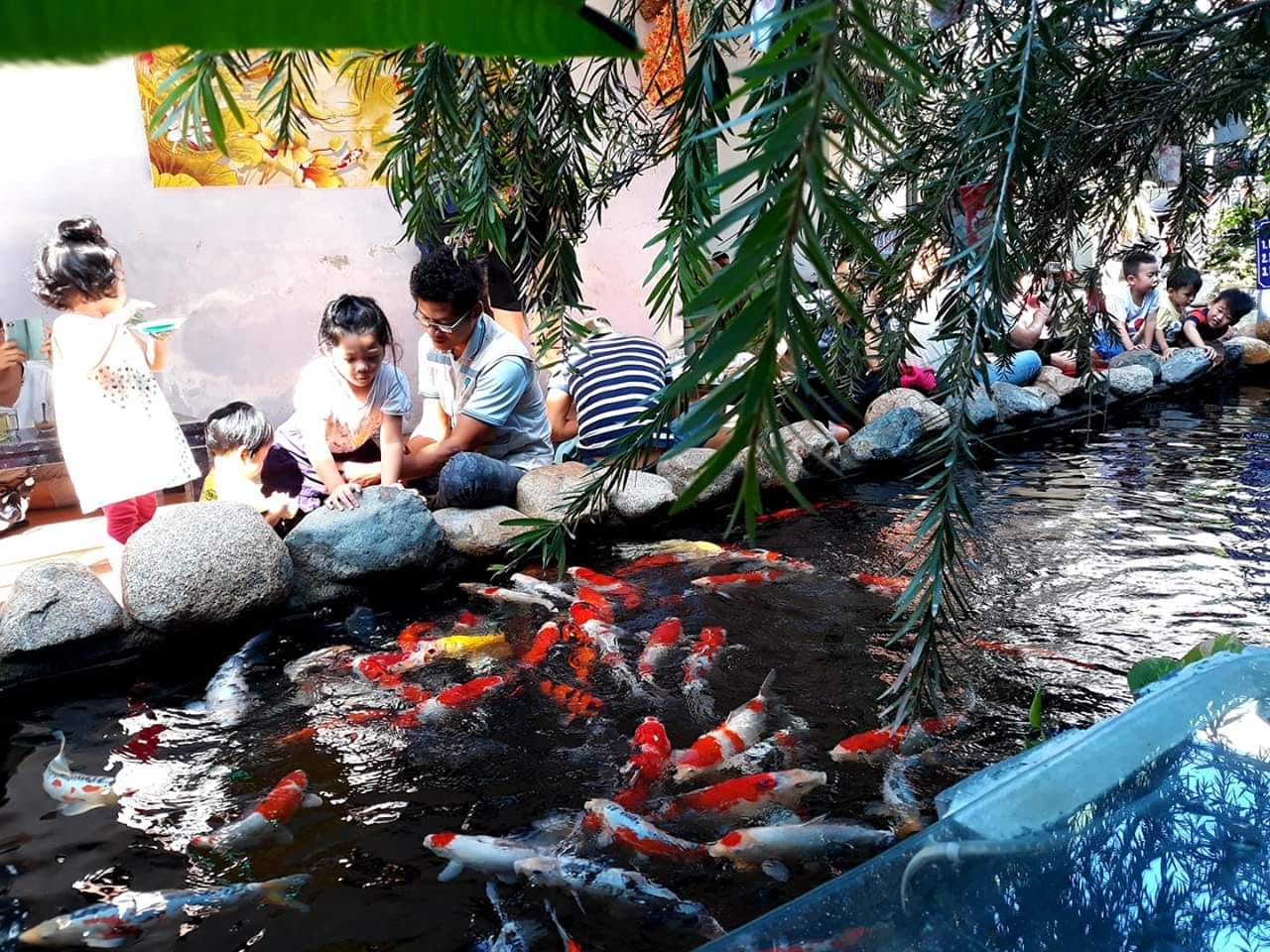 Cafe Cá Koi - Sân Vườn Thôi Kệ - Cafe cá koi Nha Trang hấp dẫn