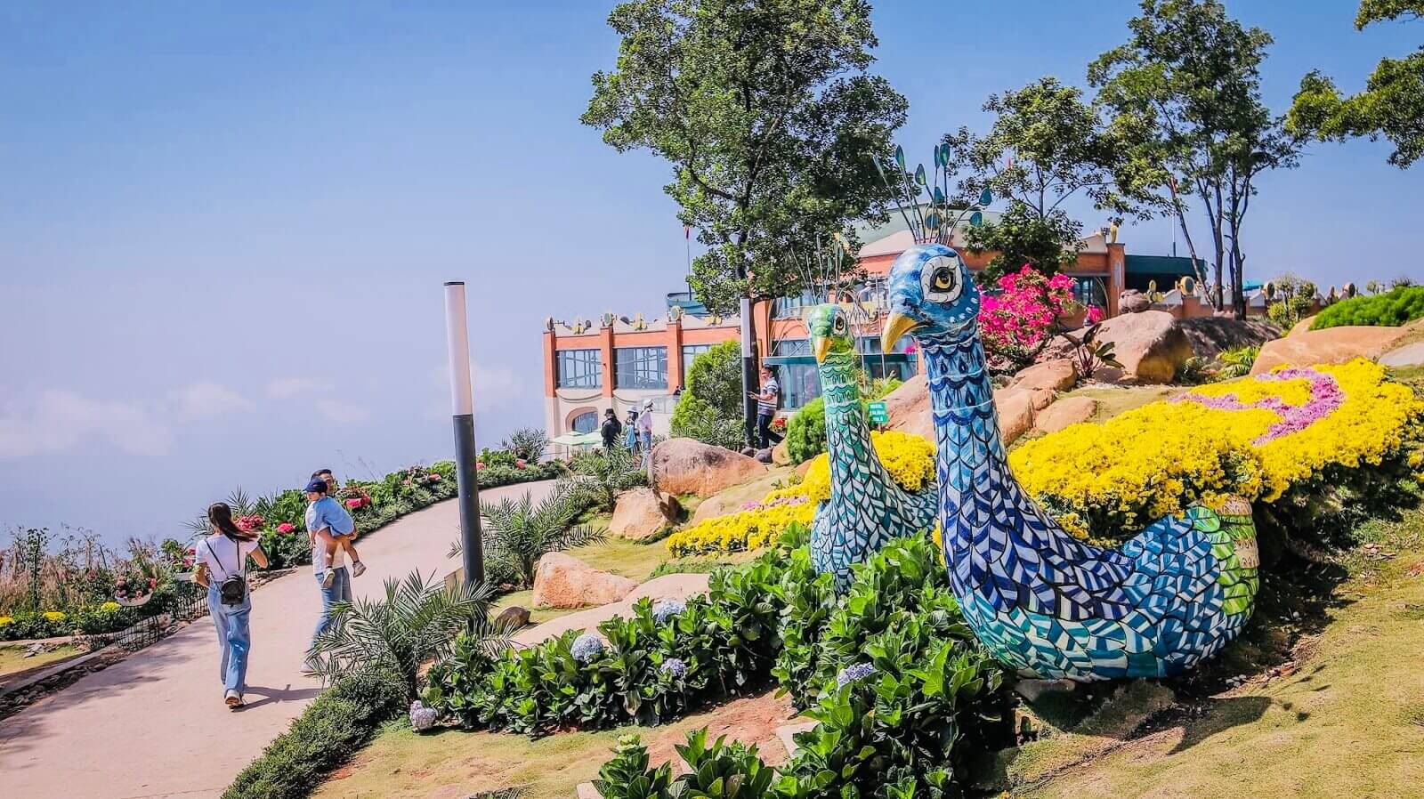 Hình ảnh vườn hoa thơ mộng trên đỉnh núi Bà Đen 2