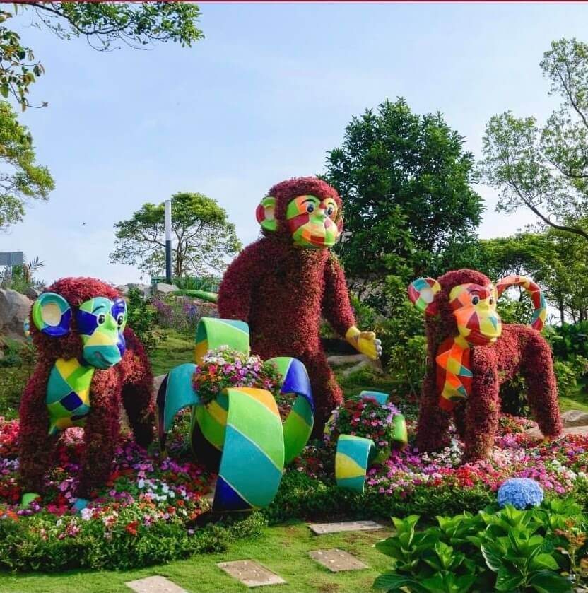 Hình ảnh vườn hoa thơ mộng trên đỉnh núi Bà Đen