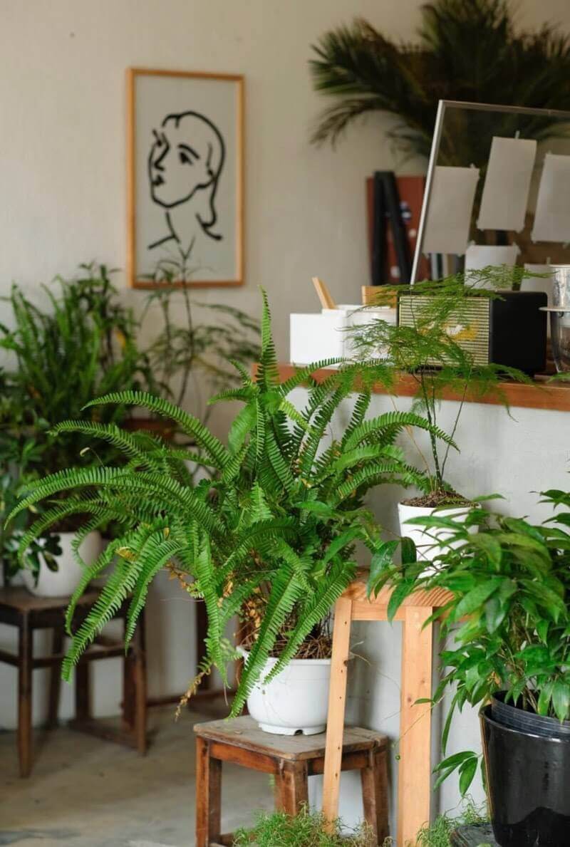 Quán cafe Đá Bào Concept