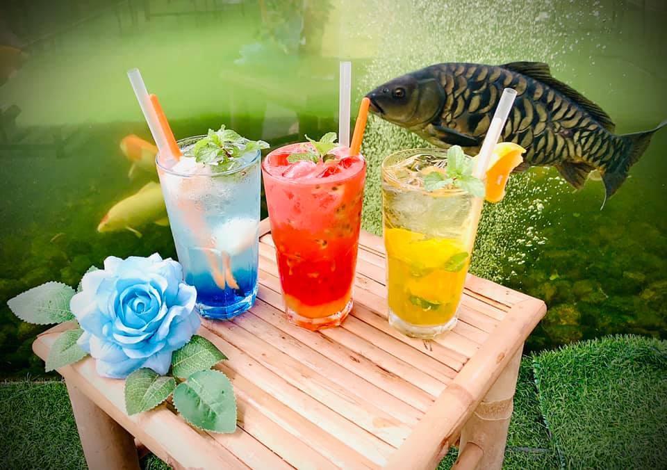 Thức uống tại cafe Mỹ Gia Koi - Cafe cá koi Nha Trang hấp dẫn