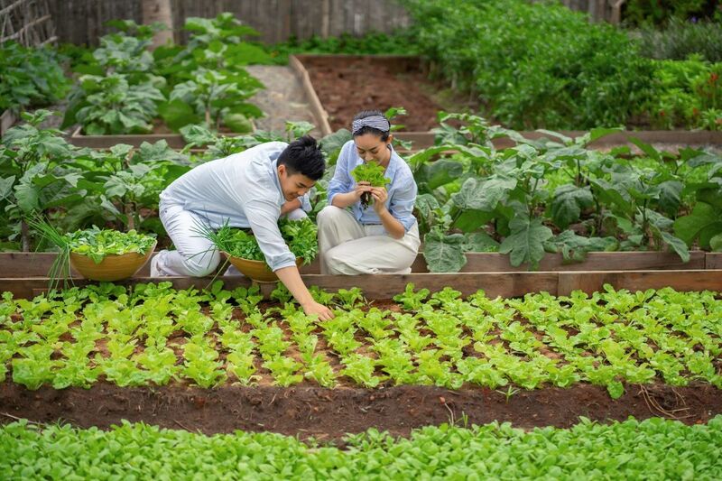 Almanity Hoi An Wellness Resort - Tinh Hoa Giữa Lòng Phố Hội