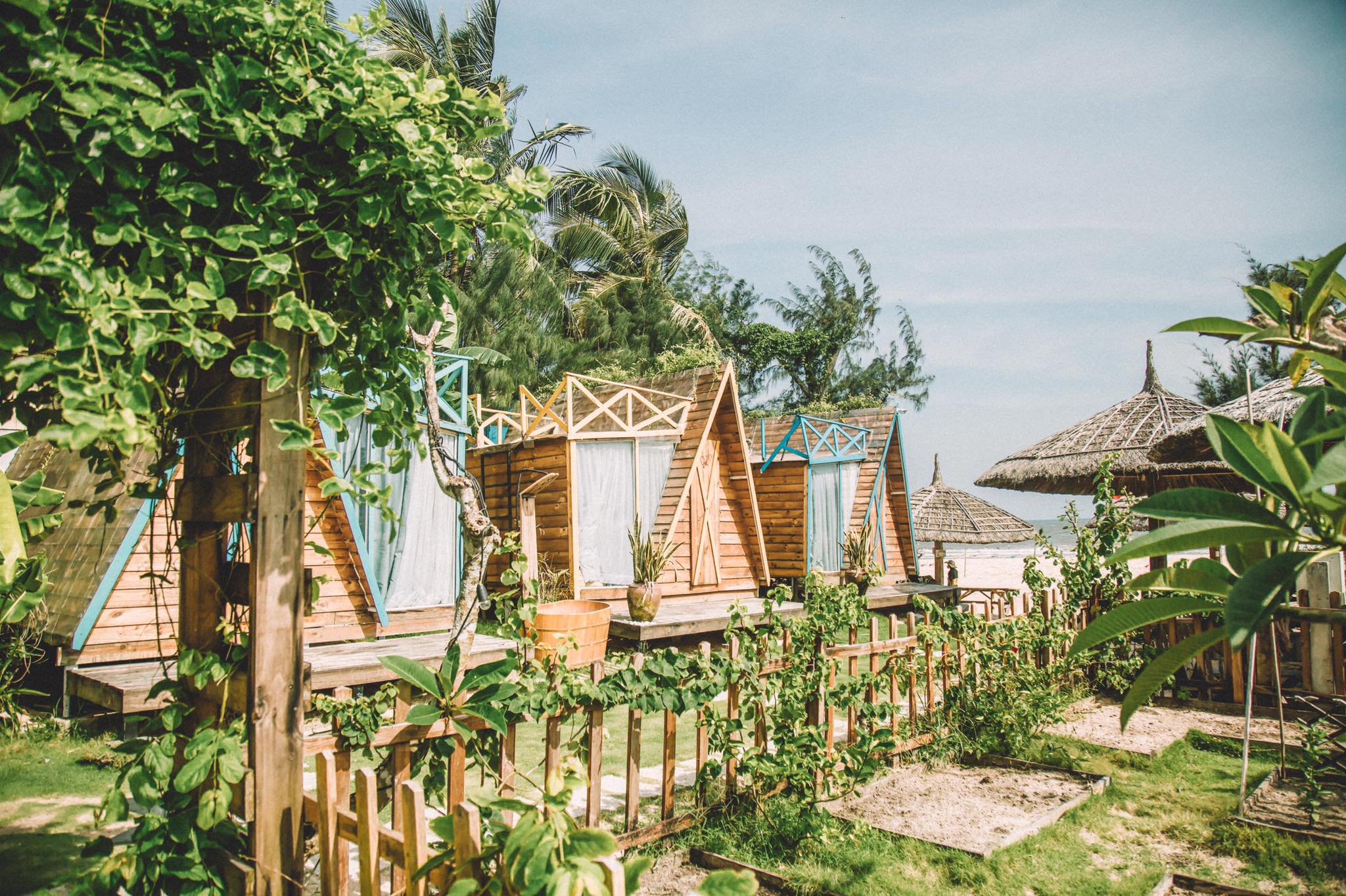 Review Coco Beach Lagi Bình Thuận - Xứ sở đầy màu sắc