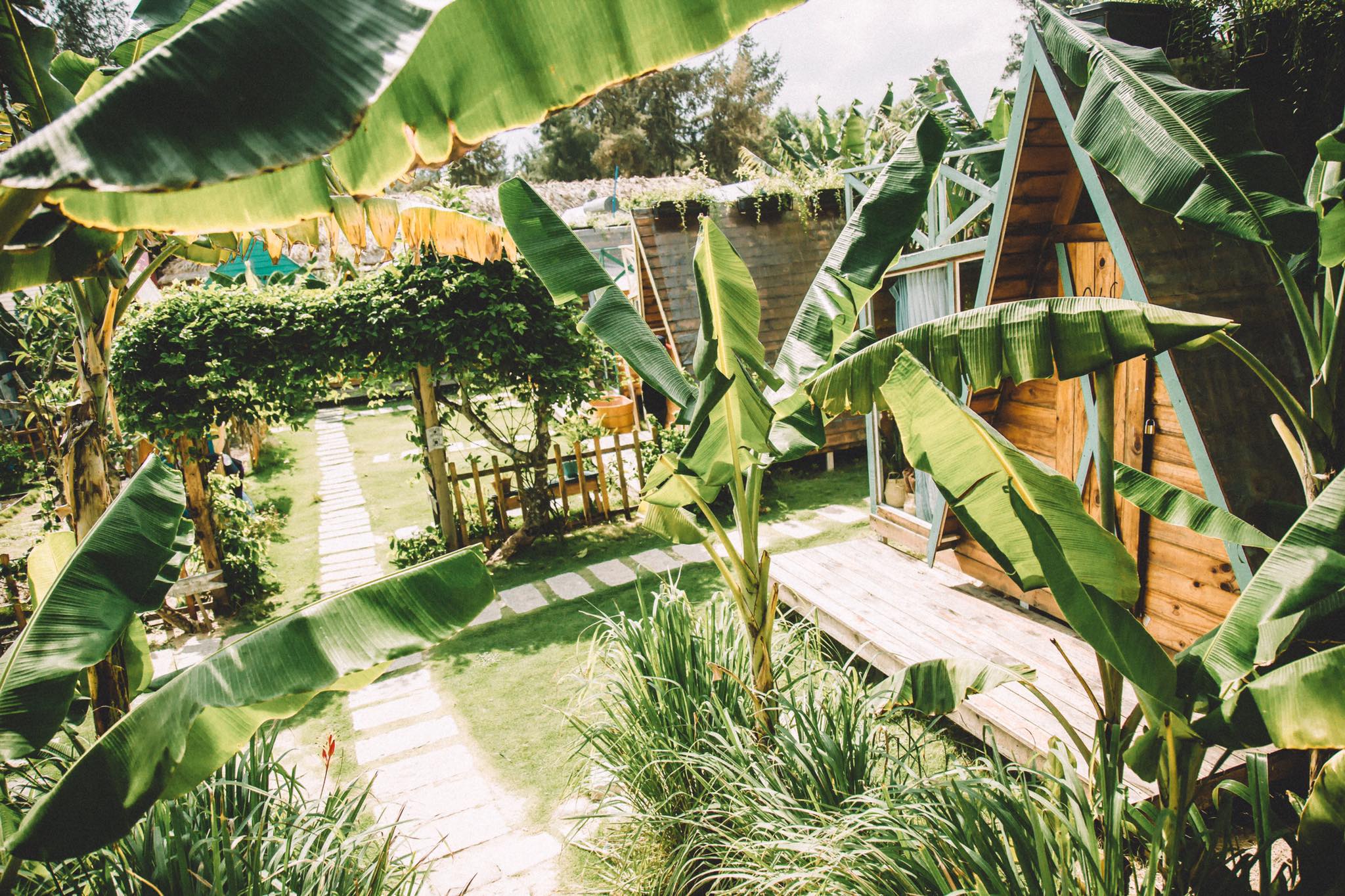 Review Coco Beach Lagi Bình Thuận - Xứ sở đầy màu sắc