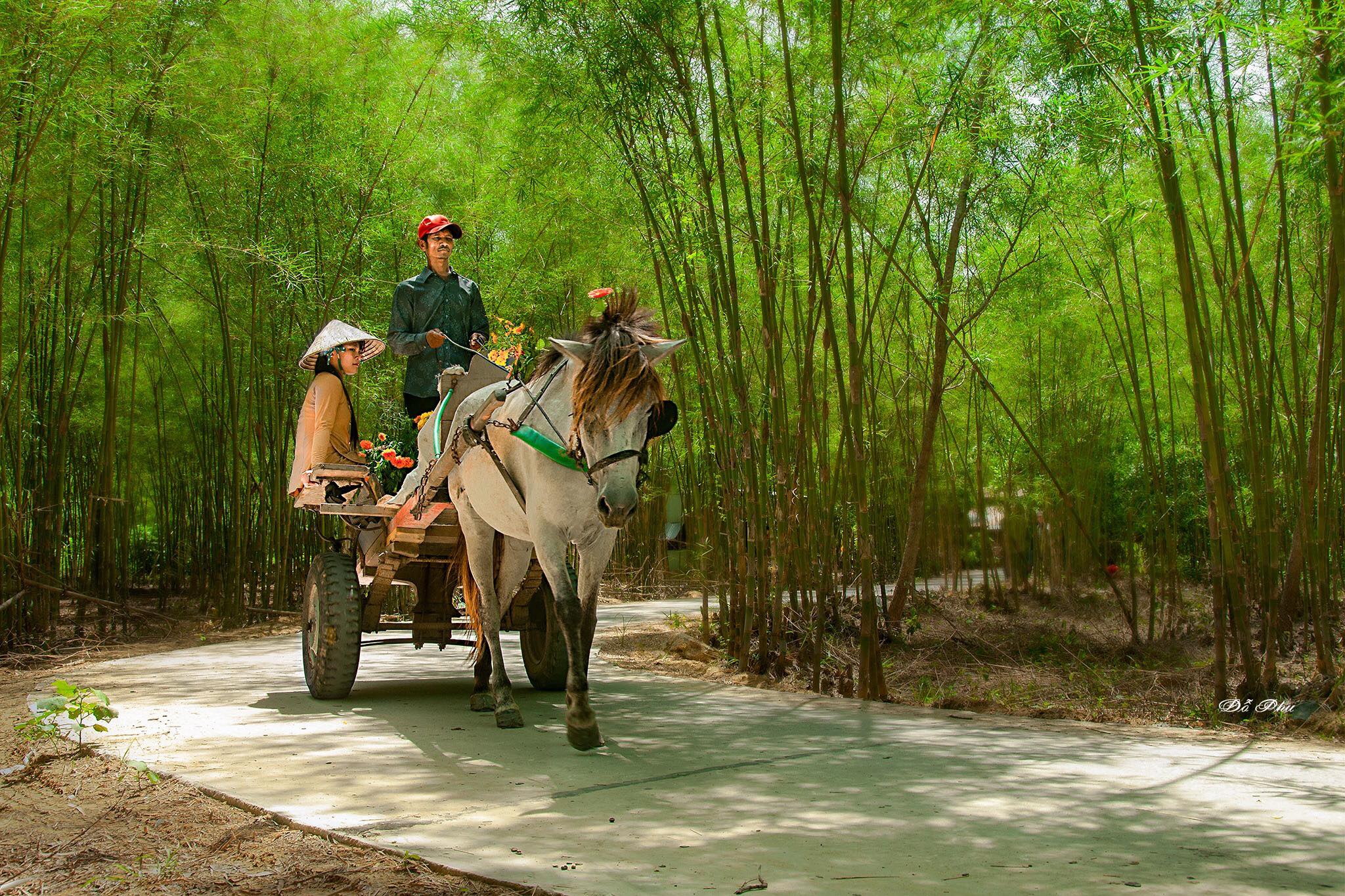 Khám phá con đường tầm vông Ô Tà Sóc An Giang
