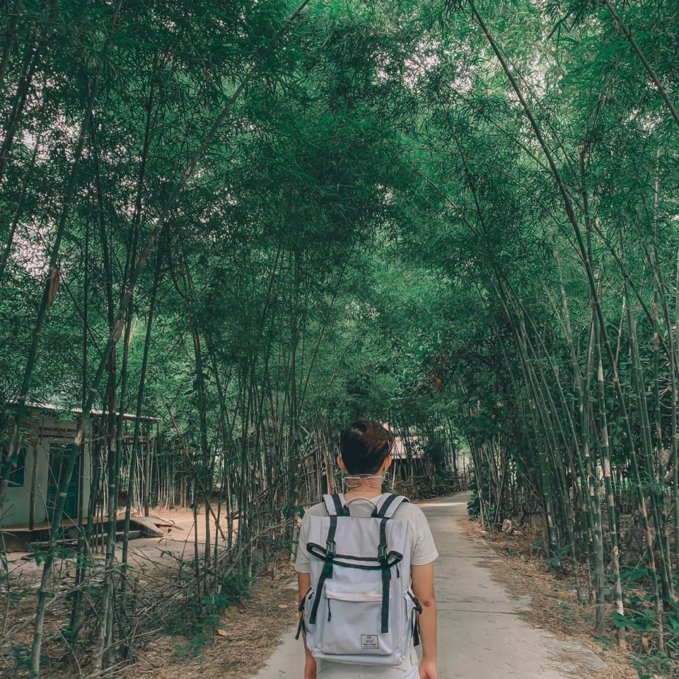 Khám phá vẻ đẹp của đường tầm vông Ô Tà Sóc An Giang