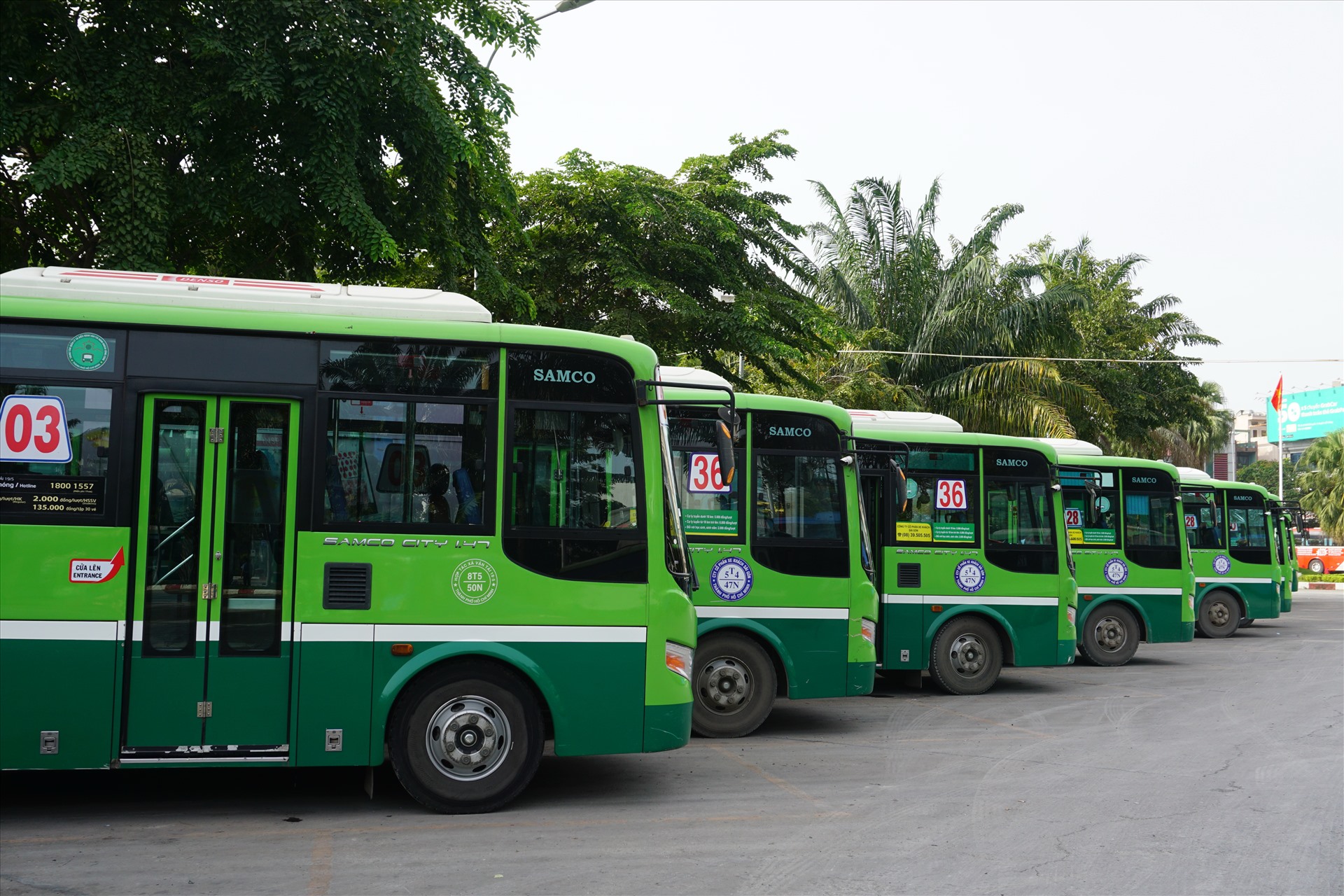 du lich quy nhon 15