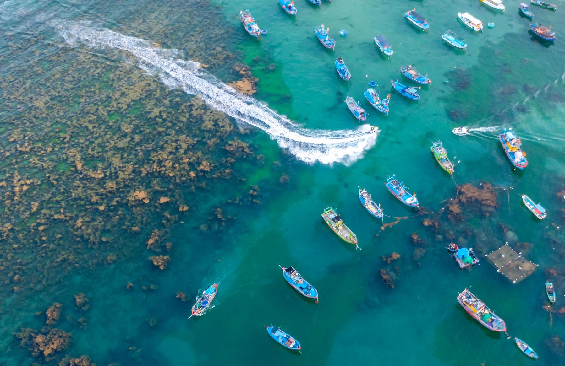 du lịch Quy Nhơn