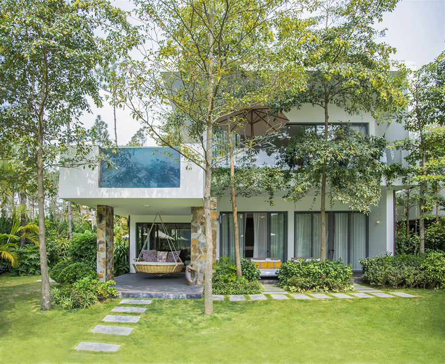flamingo dai lai 17