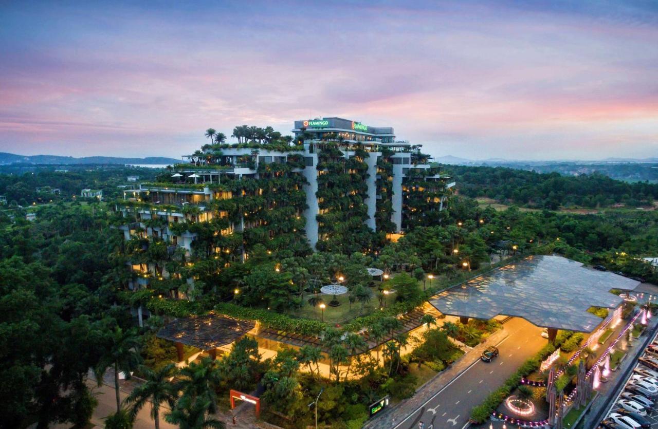 flamingo dai lai 41