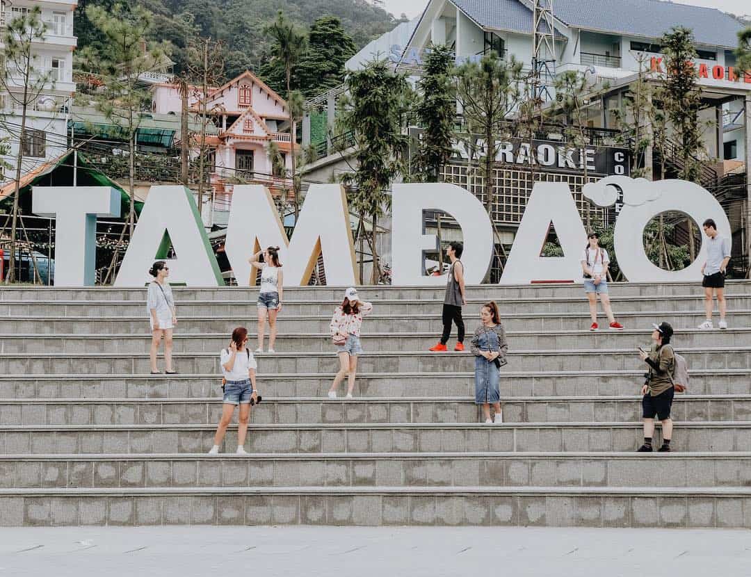 flamingo dai lai 44