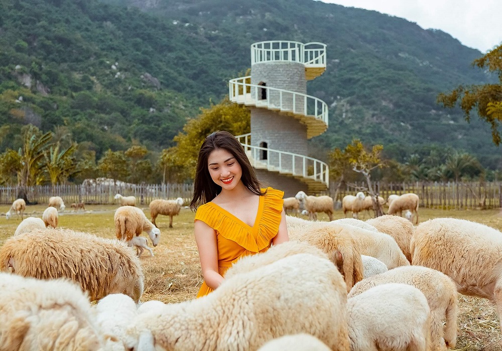 Golden Peak Resort & Spa - Điểm nghỉ dưỡng lý tưởng bên bờ biển