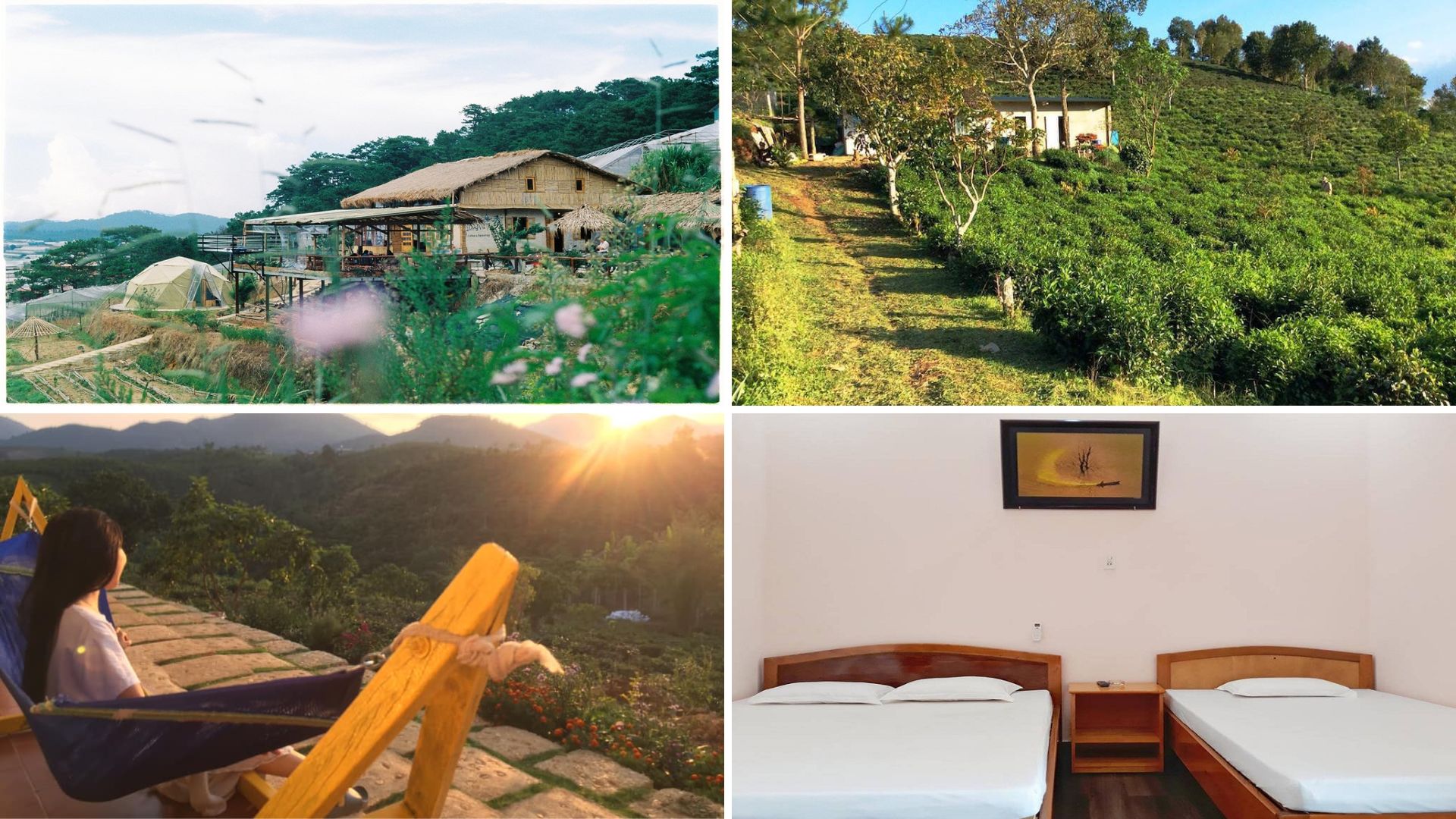 homestay bao loc 11