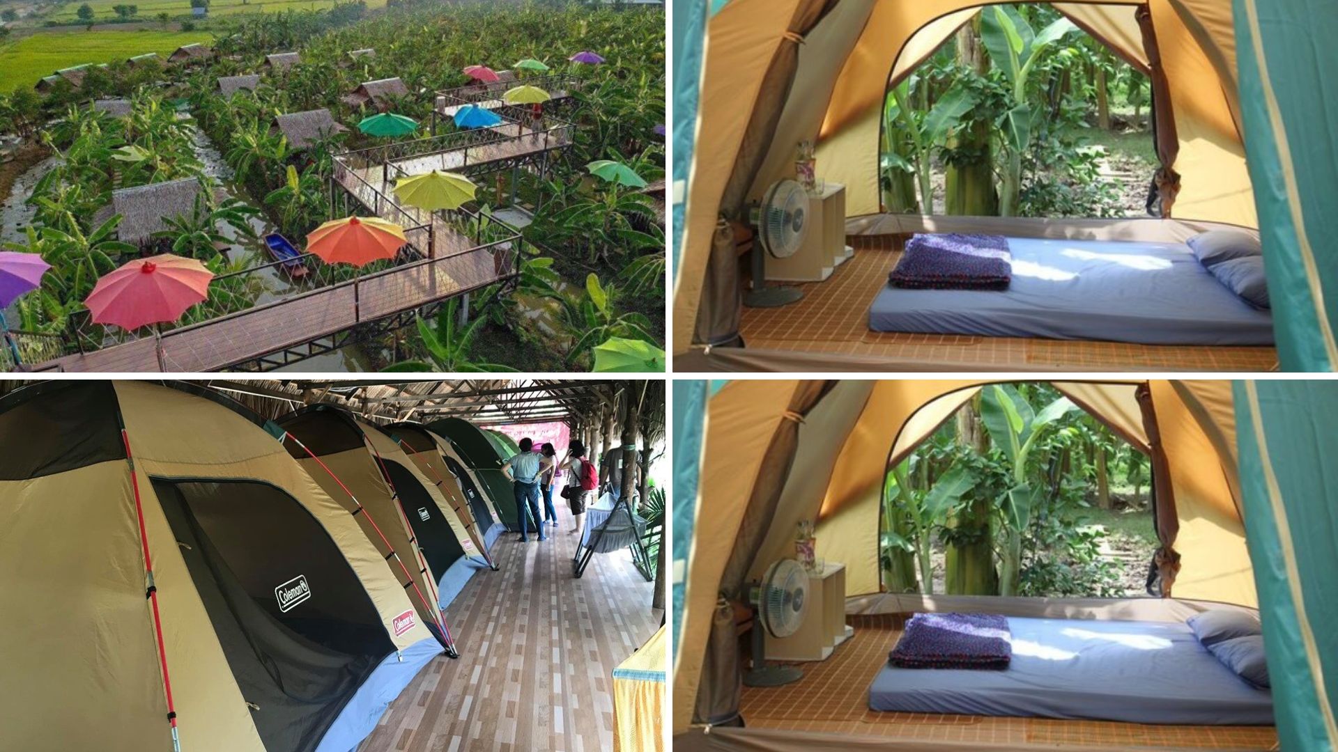 homestay bến tre