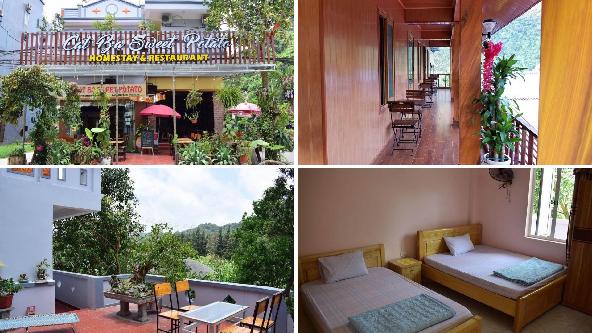 homestay Cát Bà