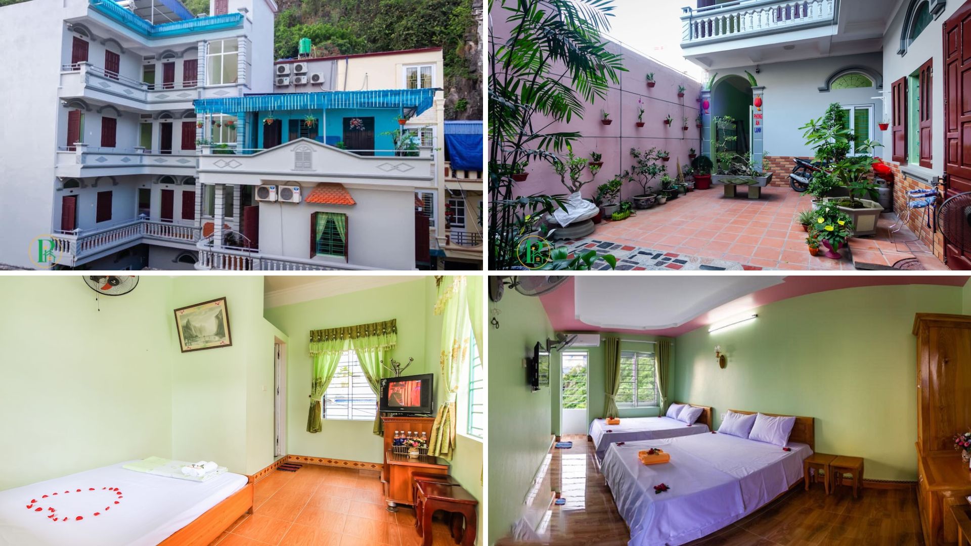 homestay Cát Bà