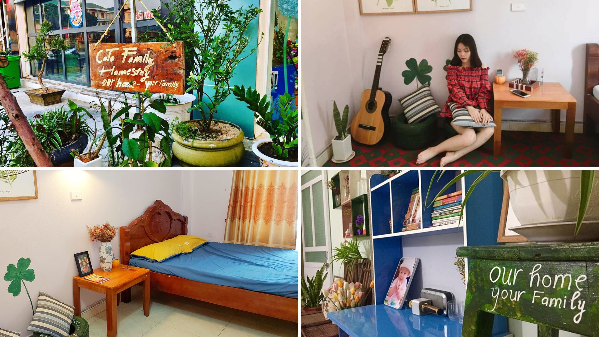 homestay co to 12