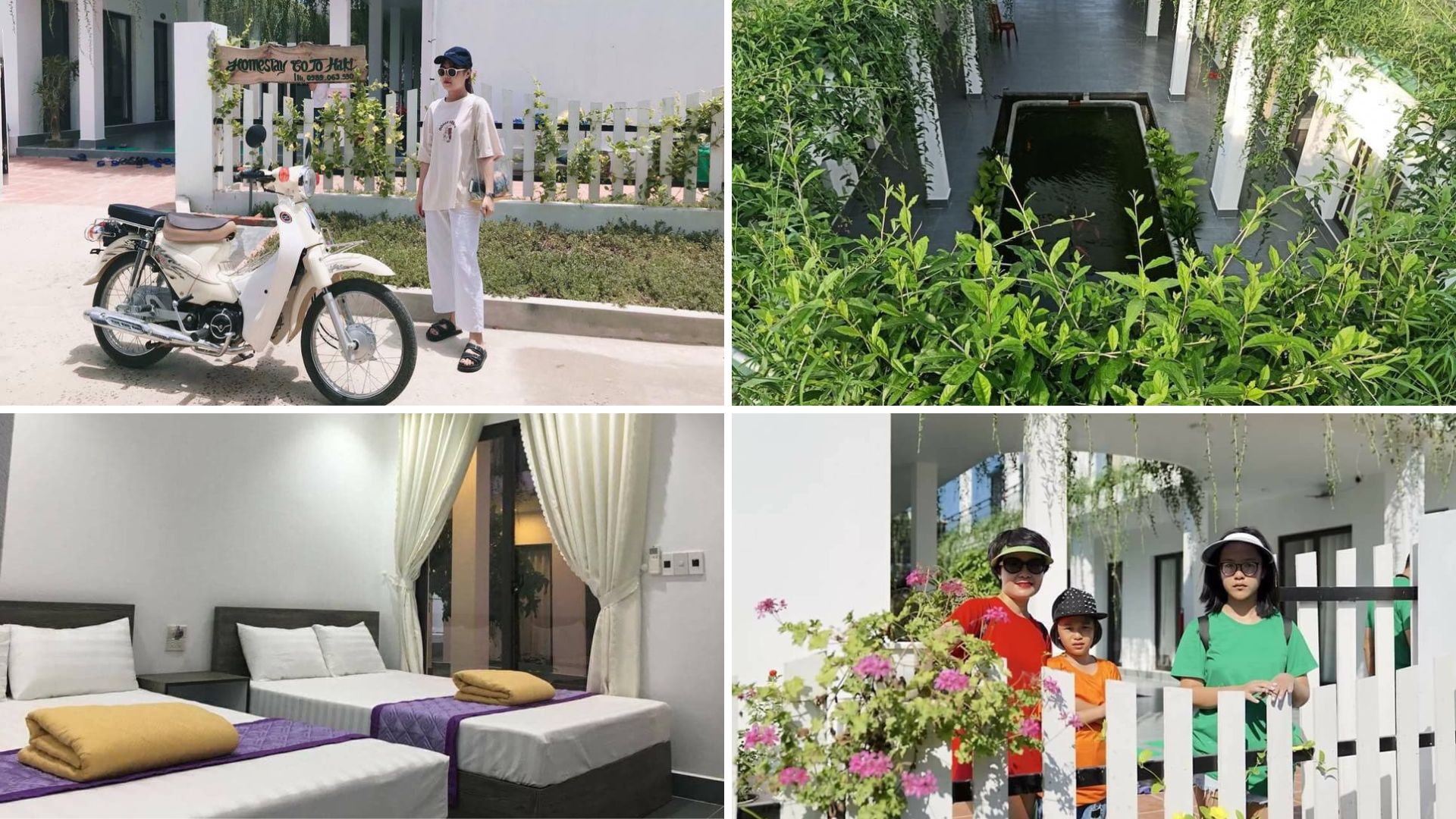 homestay cô tô