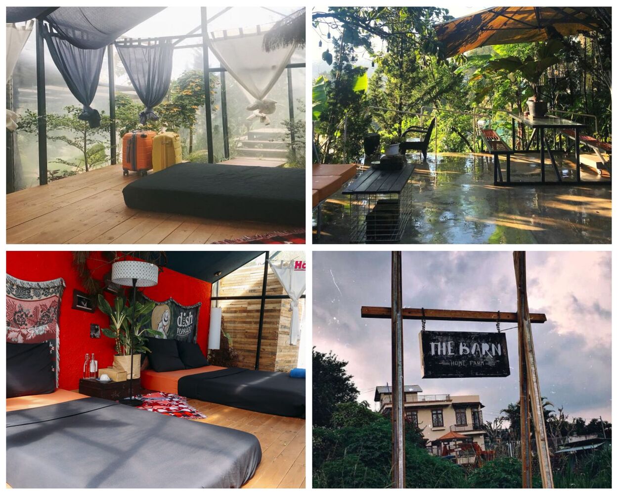 homestay đà lạt