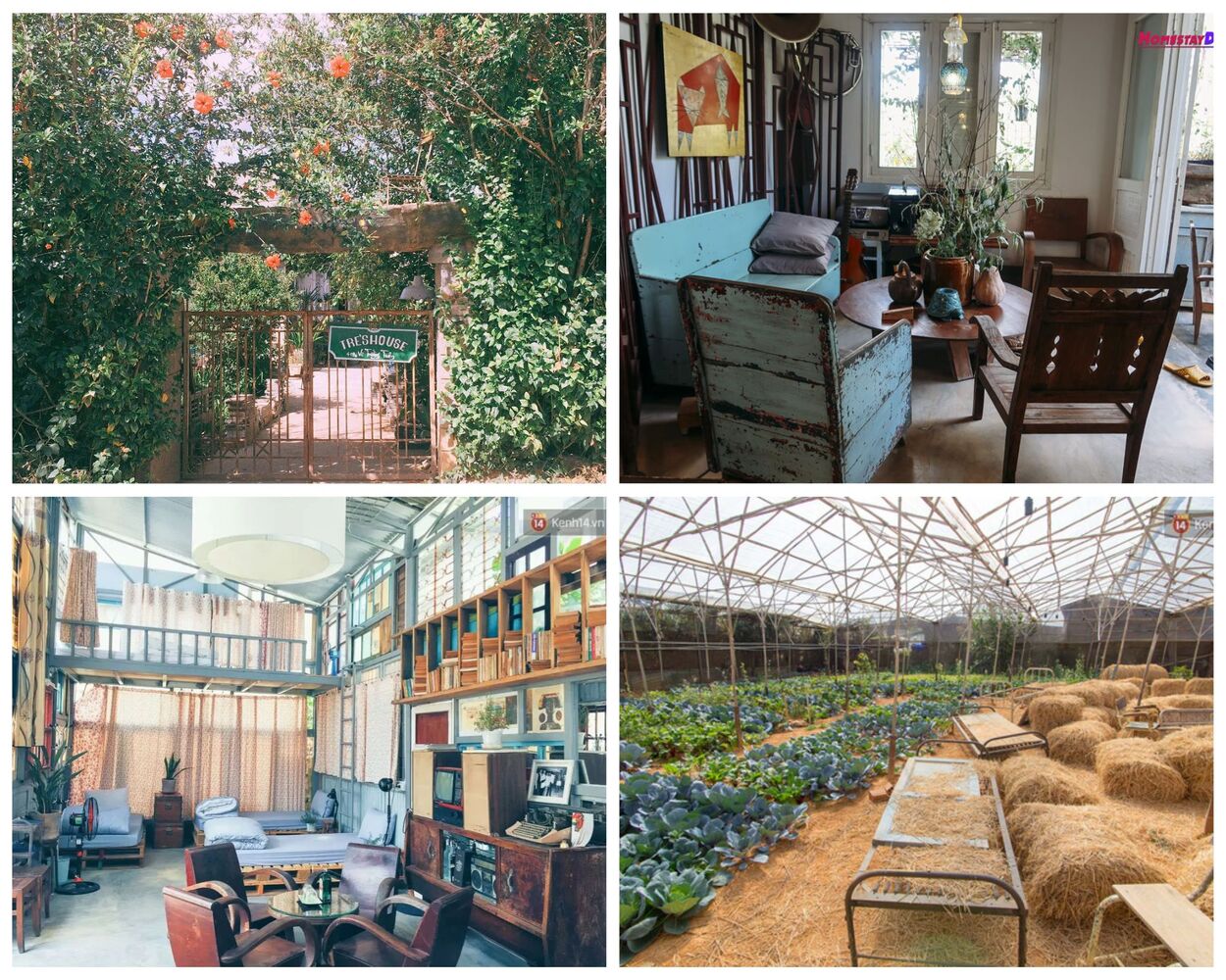 homestay đà lạt
