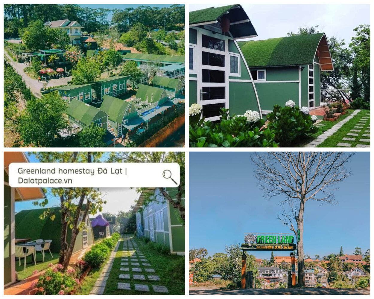 homestay đà lạt