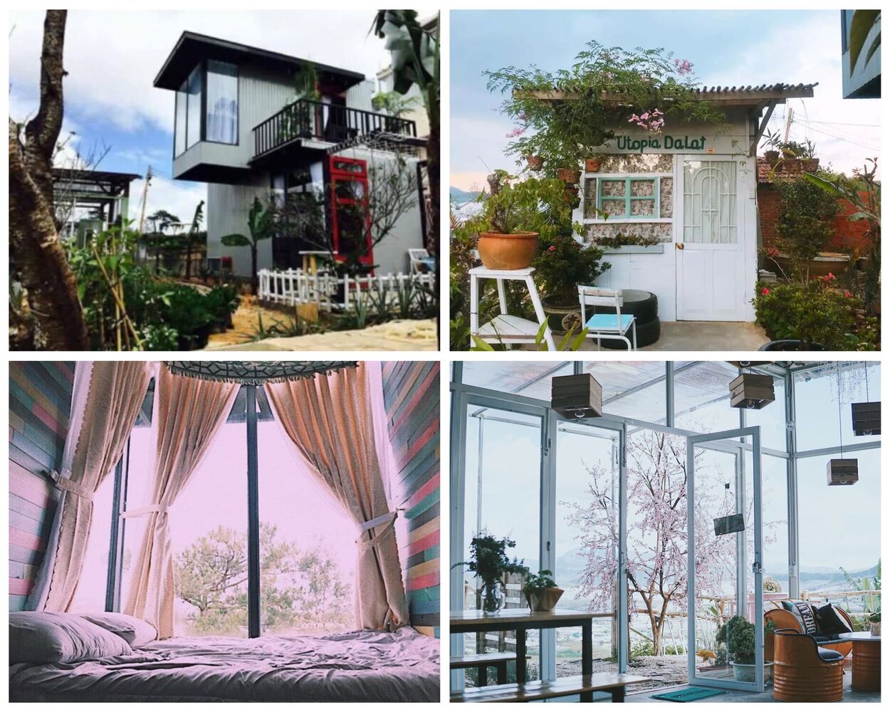 homestay da lat 24