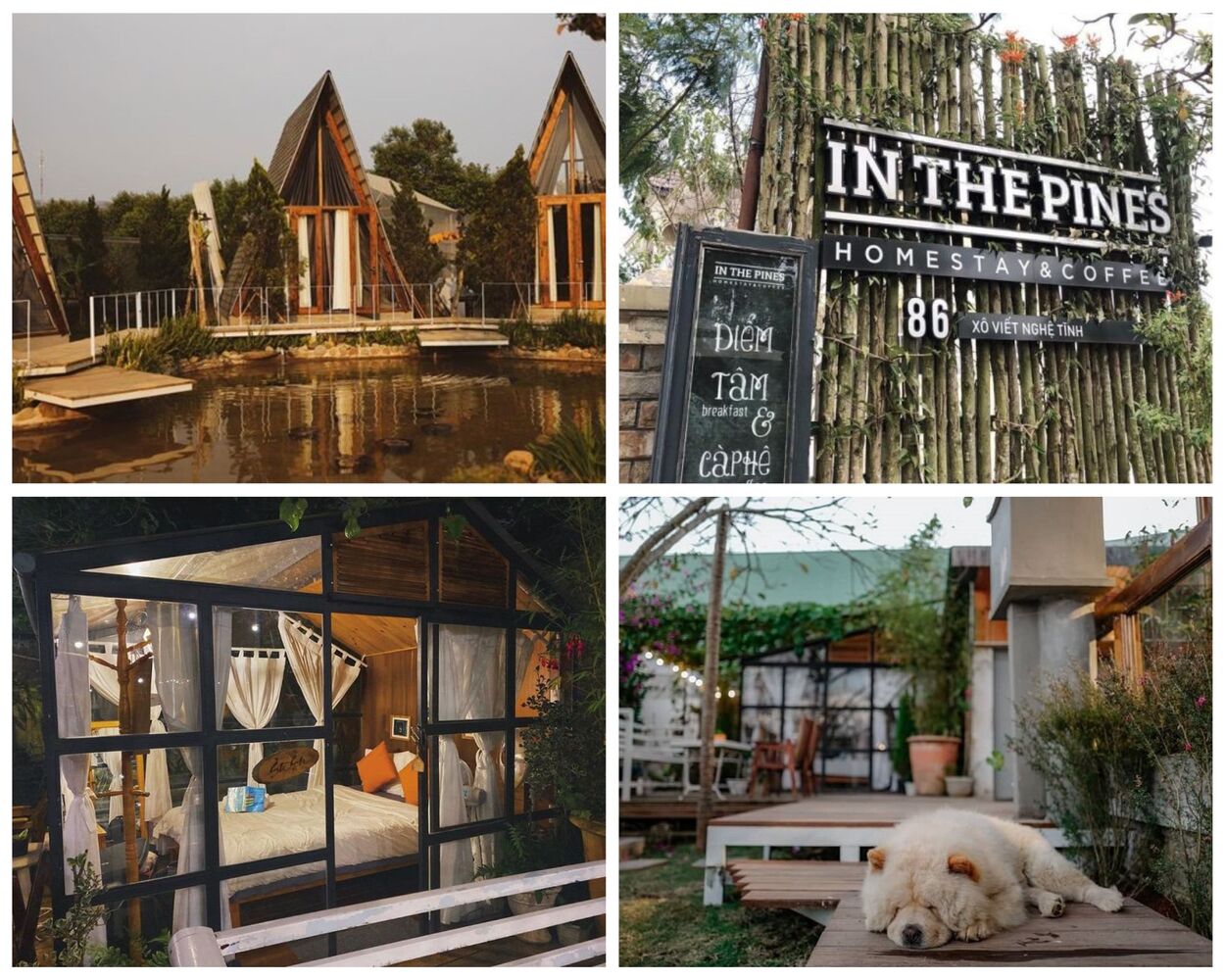 homestay đà lạt