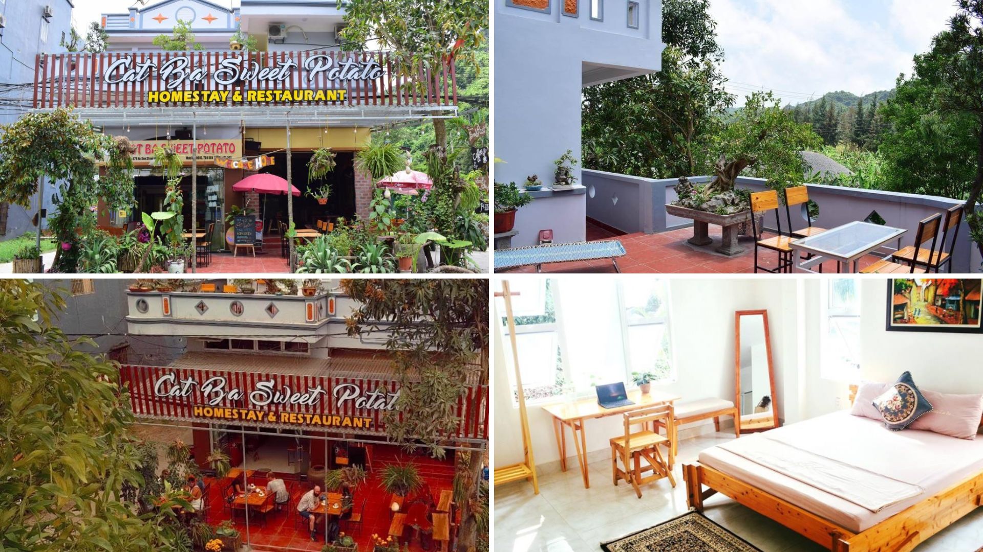 homestay hai phong 8