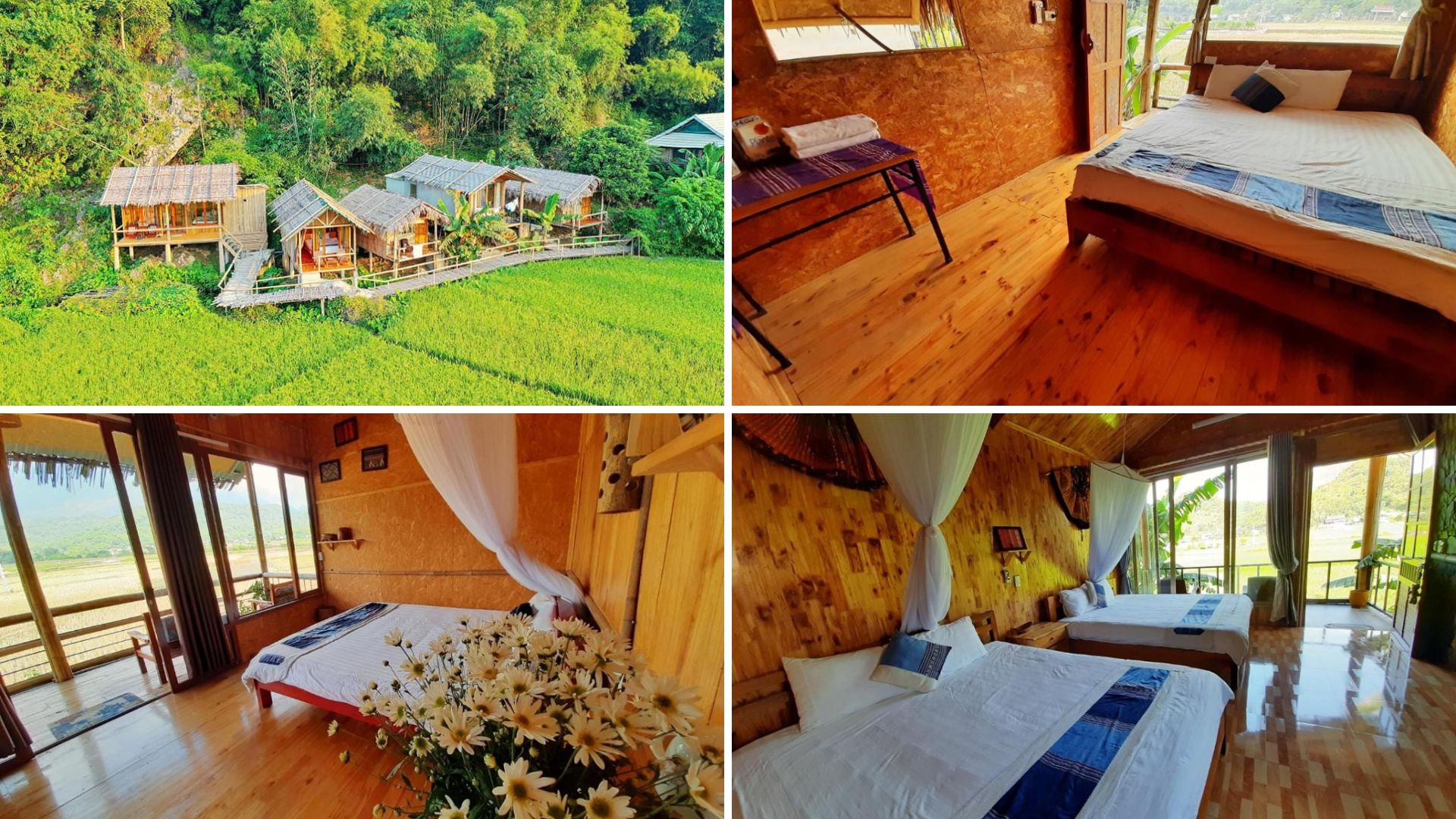 homestay hòa bình