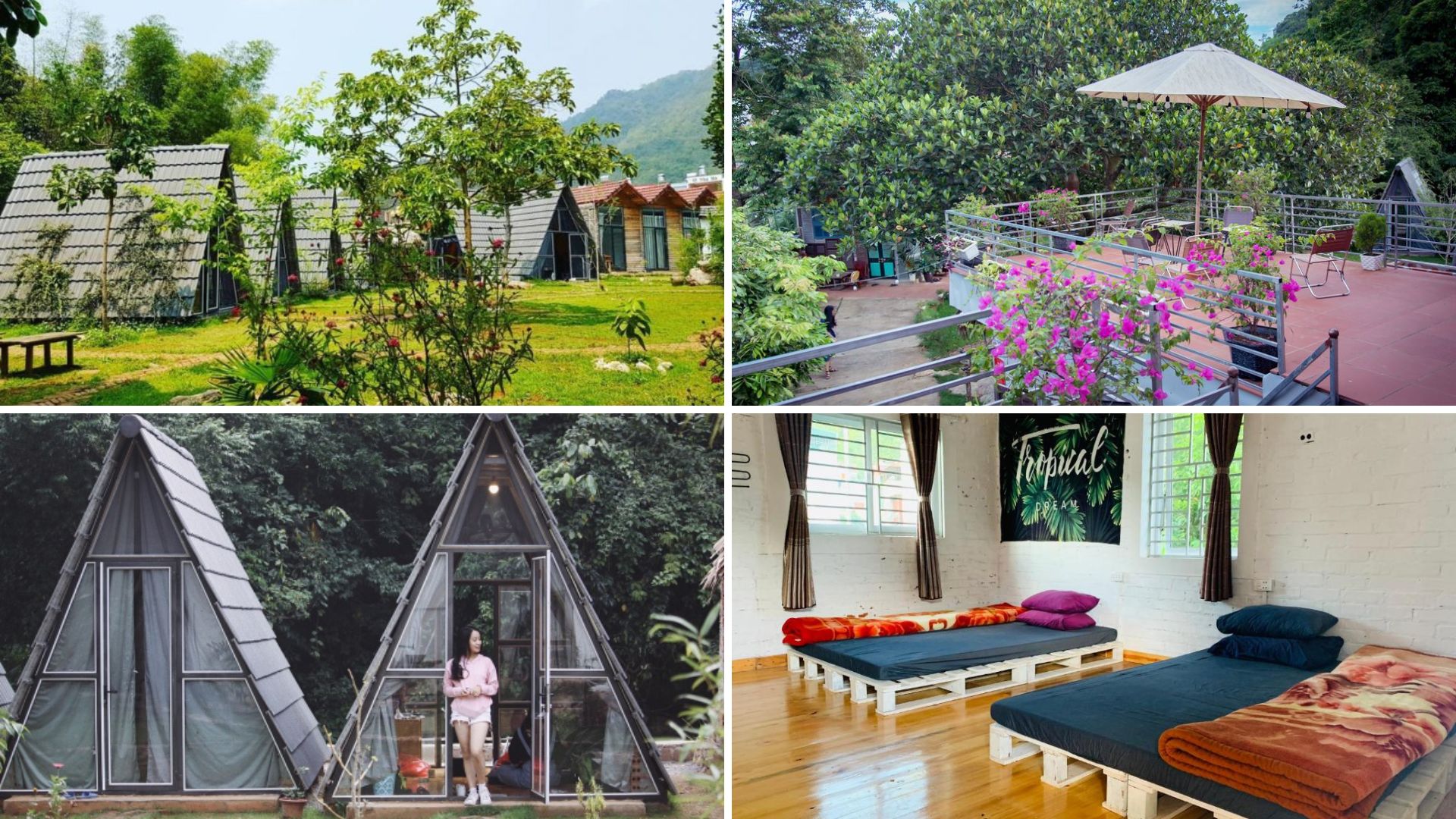 homestay Mộc Châu