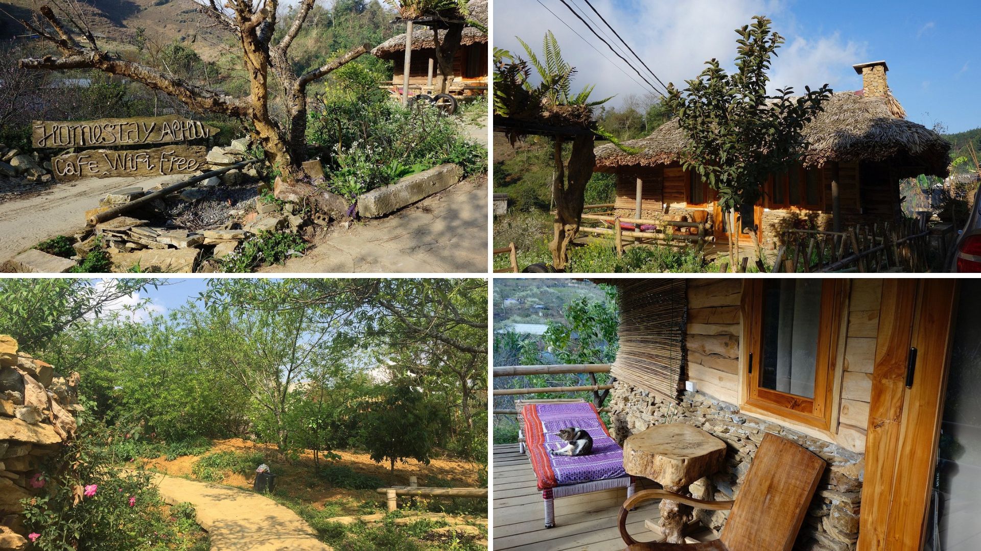 homestay Mộc Châu