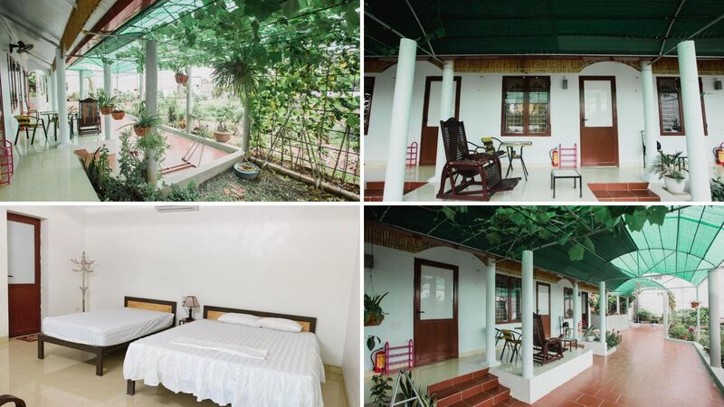 Tre Xanh Homestay Ninh Bình