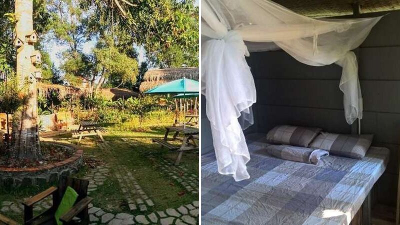 The Birdhouse homestay Phú Quốc