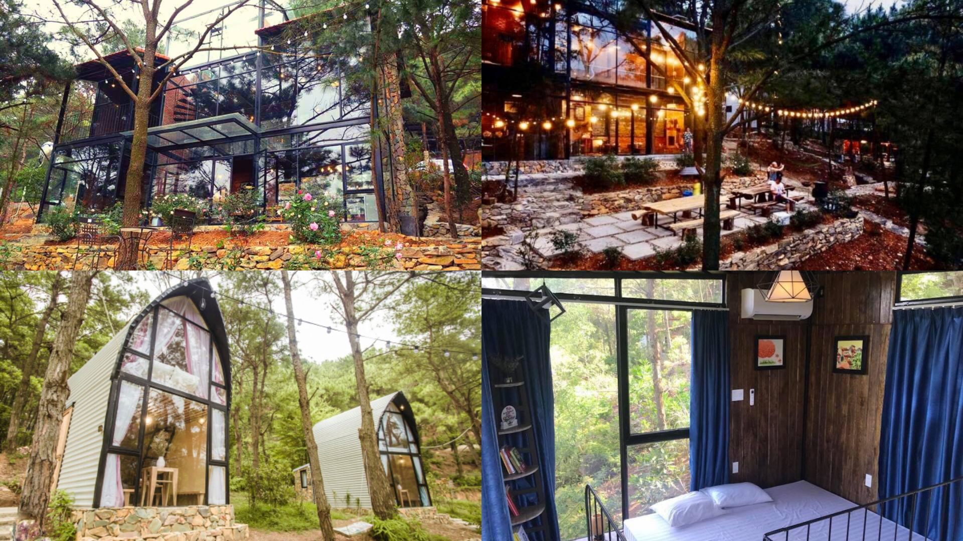 homestay soc son 14
