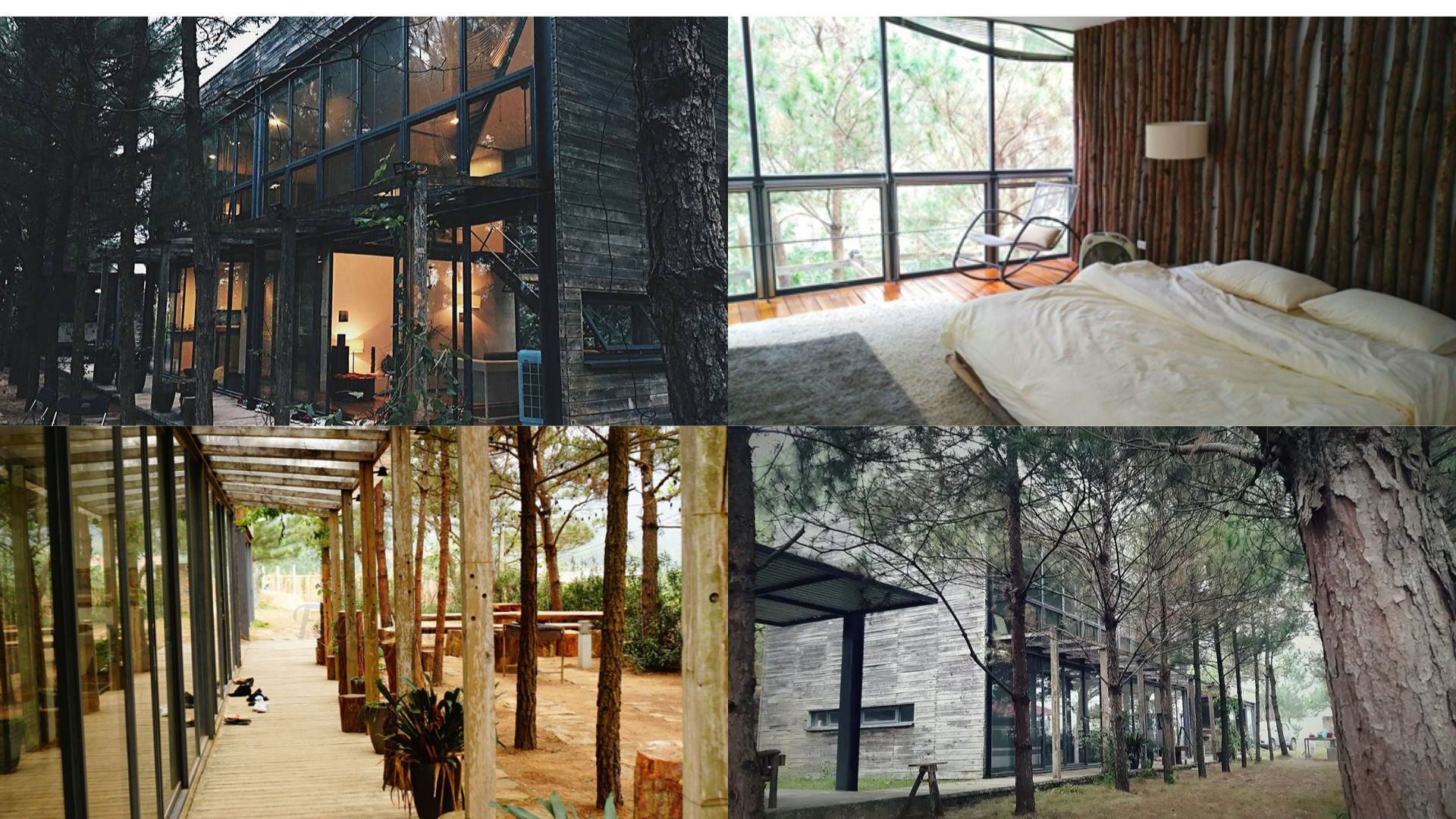 homestay sóc sơn