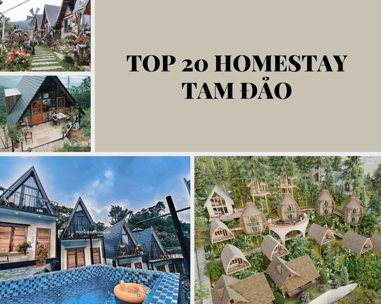 homestay tam đảo