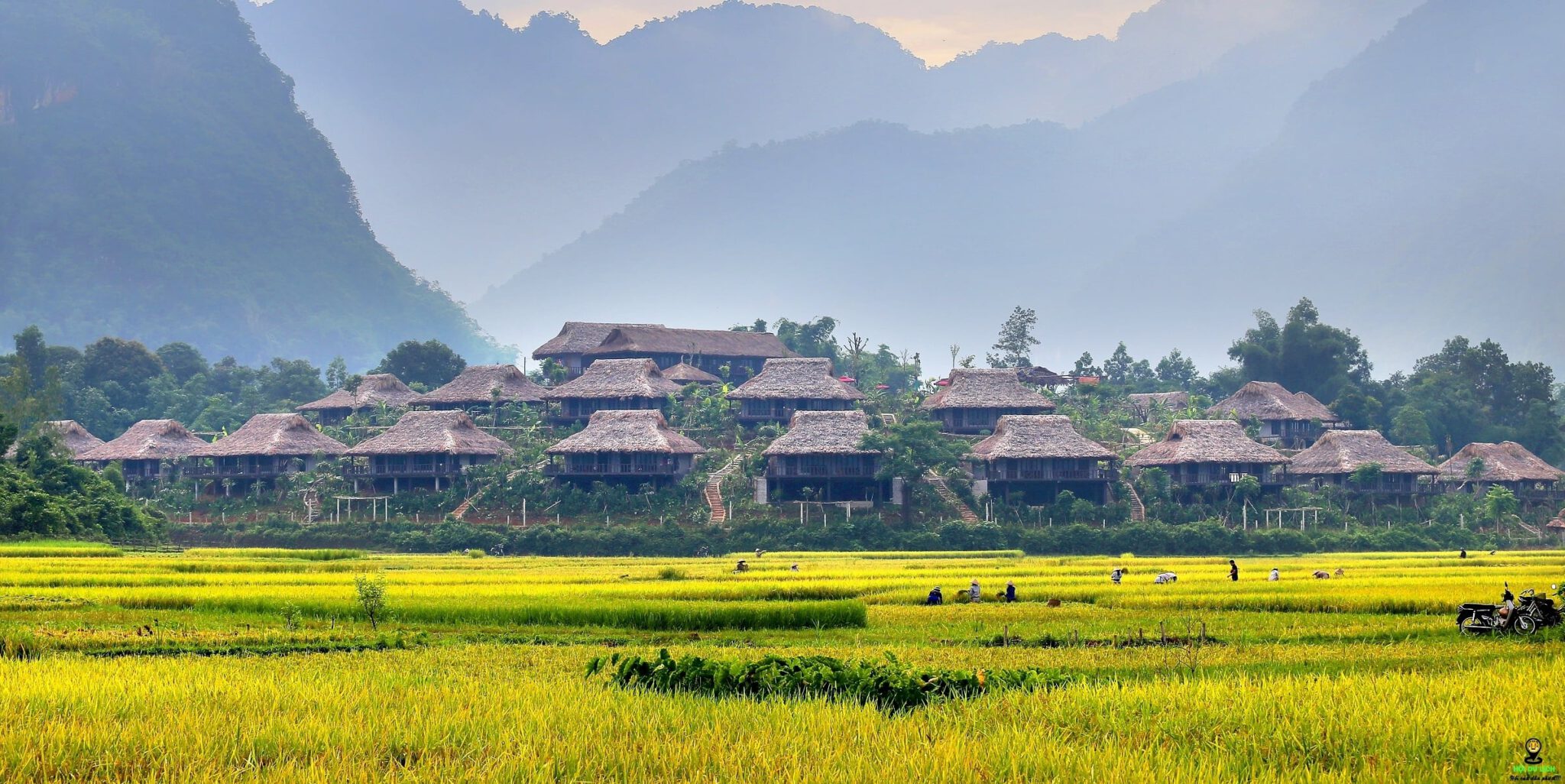 Mai Châu Sunrise Village - Mái nhà tranh mang dấu ấn cổ xưa