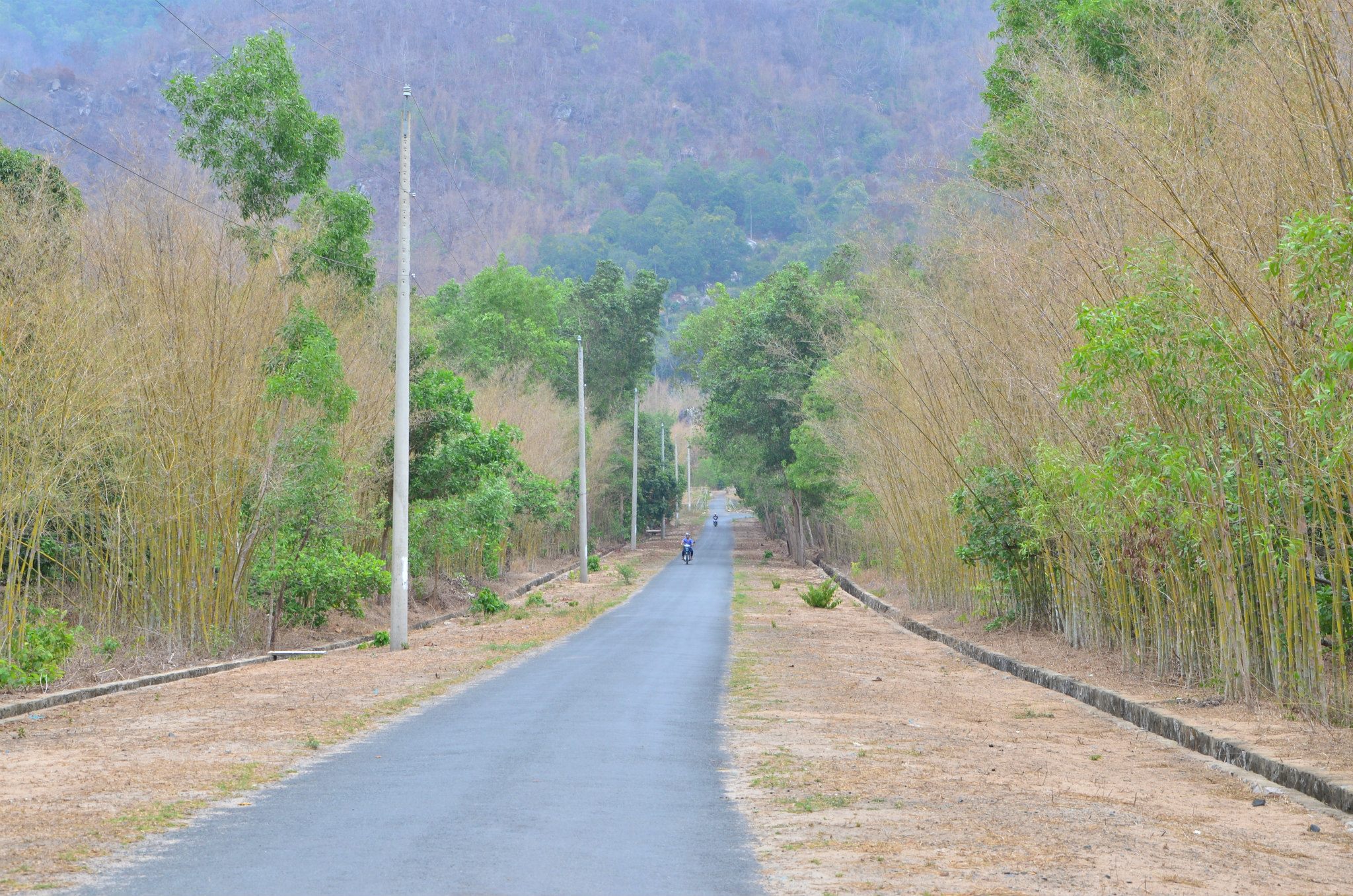 Địa điểm con đường tầm vông Ô Tà Sóc để sống ảo này nằm ở đâu?