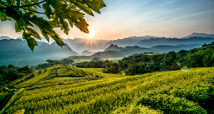 Puluong Retreat – Vẻ đẹp bình yên của xứ Thanh 