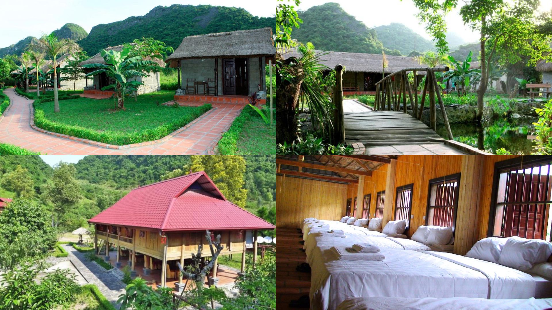 Top 15 resort Cát Bà view biển đáng lựa chọn nhất 2022