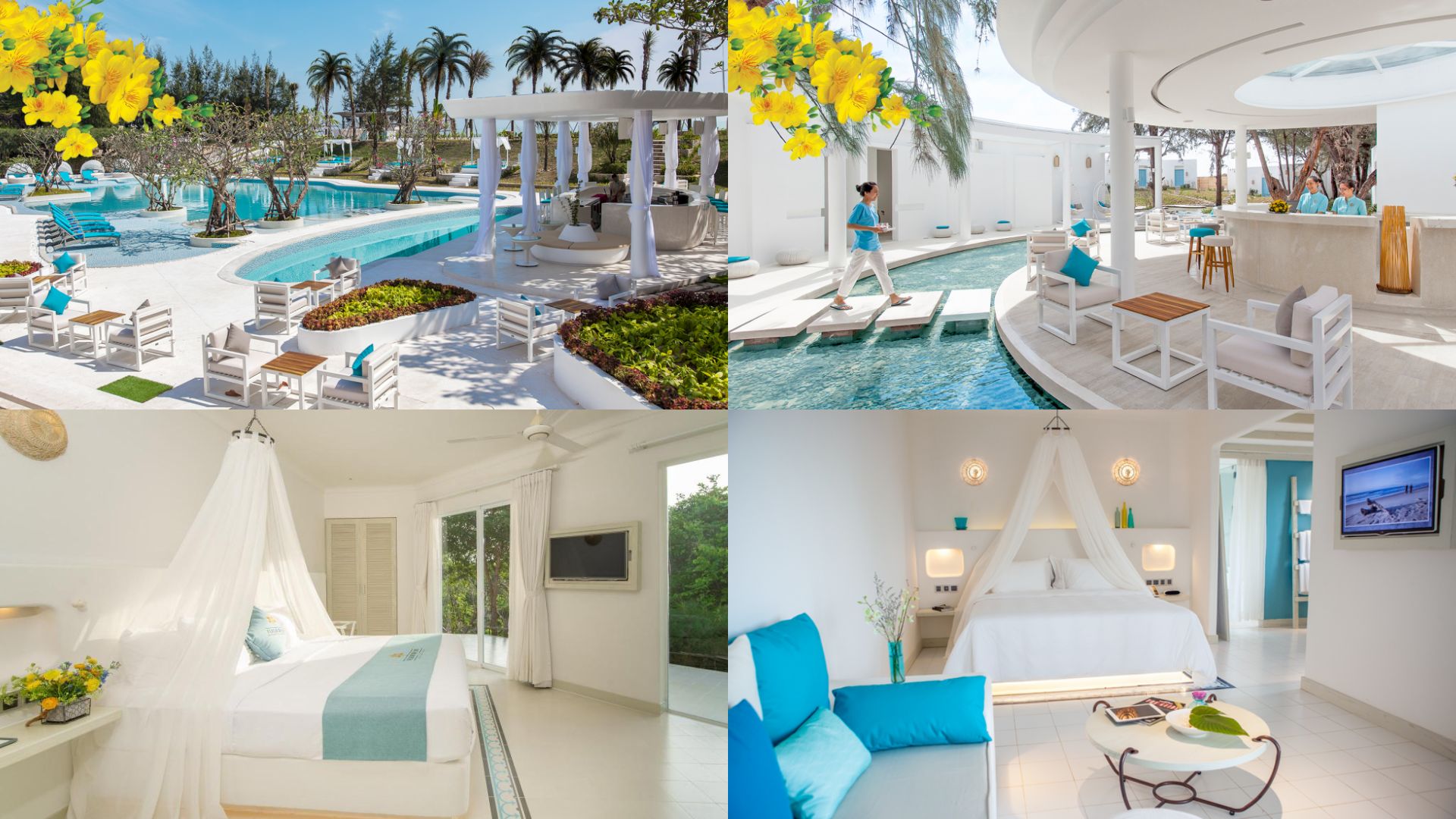 Top 20 Resort Long Hải Phước Hải view biển cực đẹp có hồ bơi