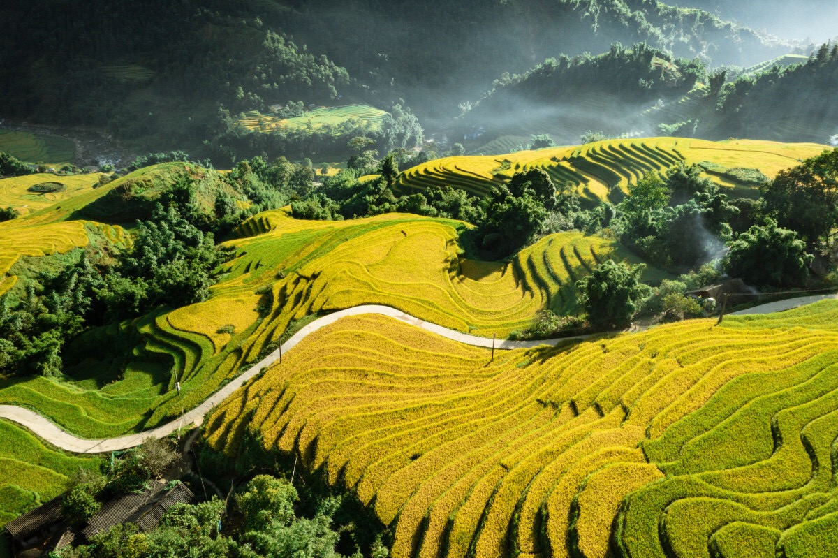 ruộng bậc thang ở Sapa
