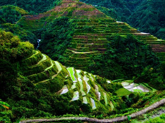 ruộng bậc thang ở Sapa