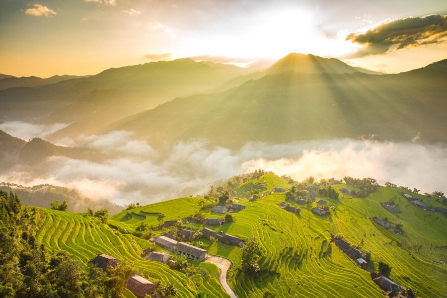 ruộng bậc thang ở Sapa