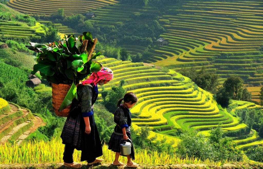 ruong bac thang o sapa 7