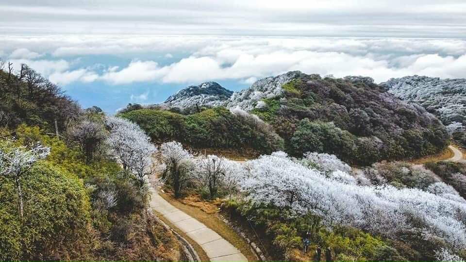 sapa tuyết rơi