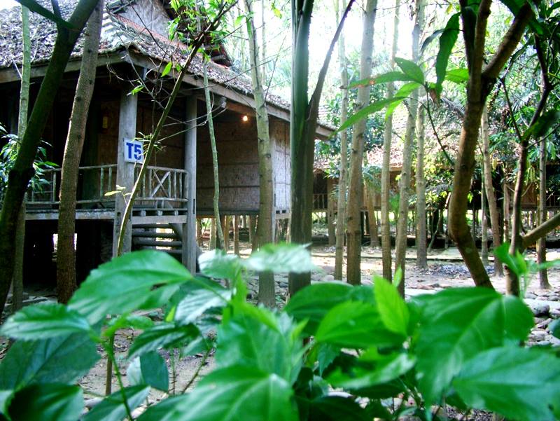 Thanh Thủy Resort - Điểm Nghỉ Dưỡng Thư Giãn Tại Phú Thọ
